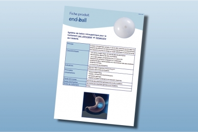 Fiche produit End-Ball[english]Technical informations End-Ball[/english][spanish]Ficha del producto End-Ball[/spanish]
